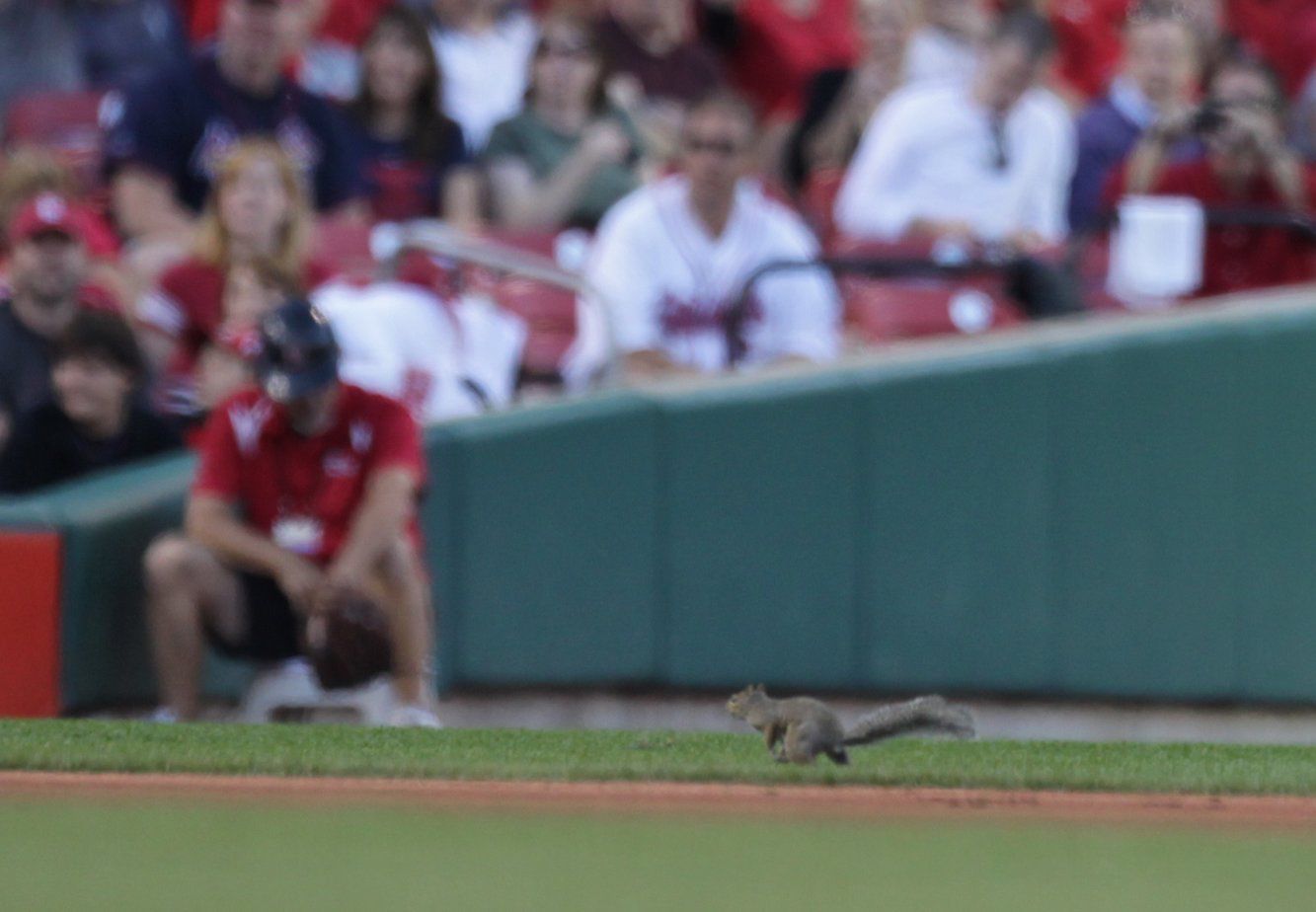St. Louis Cardinal vs Philadelphia Phillies NLDS game 3